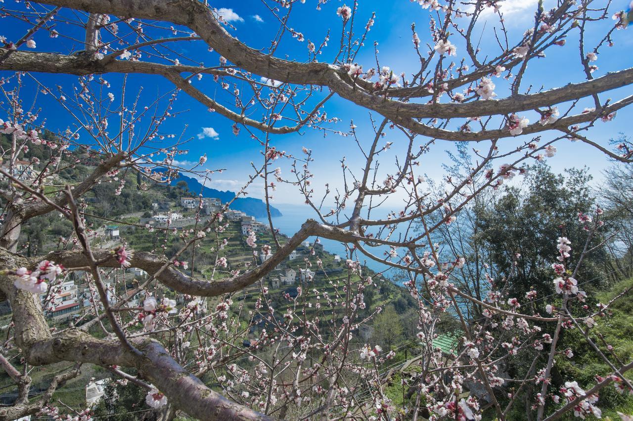 Casa Pina Appartement Amalfi Buitenkant foto