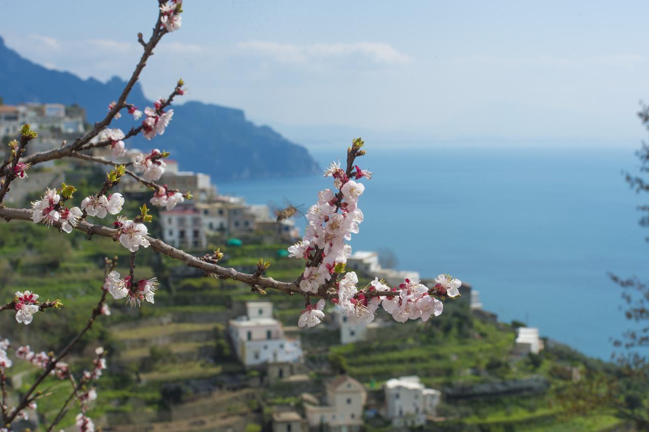 Casa Pina Appartement Amalfi Buitenkant foto